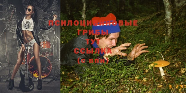 винт Баксан