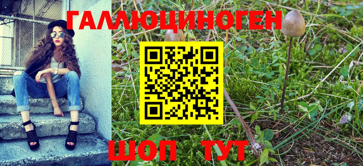 Псилоцибиновые грибы мицелий  Вход с VPN  Вольск 